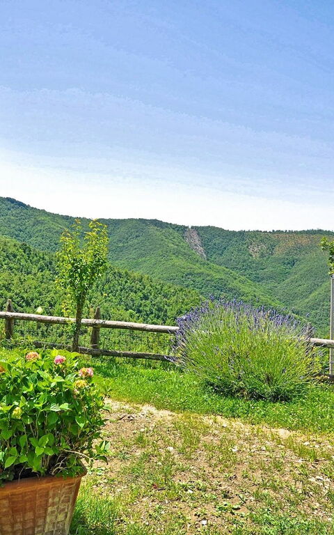 Villa Margherita Uno: Have