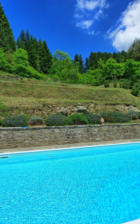 Villa Portole Uno: pool