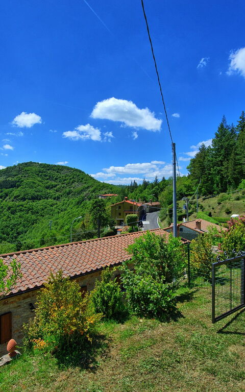 Villa Portole Due: Have, Visninger