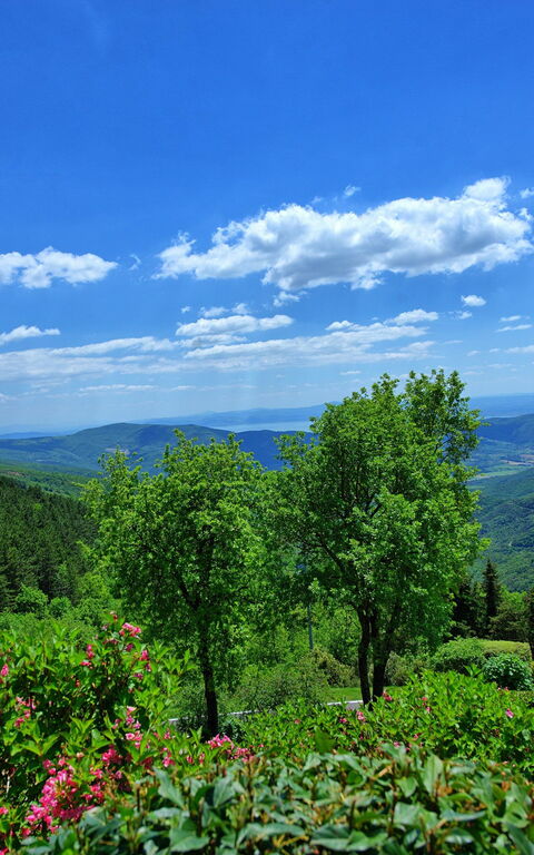 Villa Portole Due: Visninger