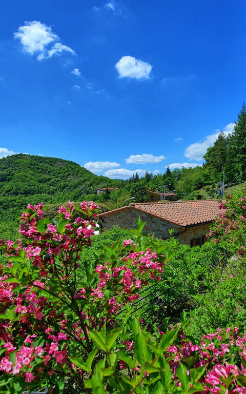 Villa Portole Due: Visninger