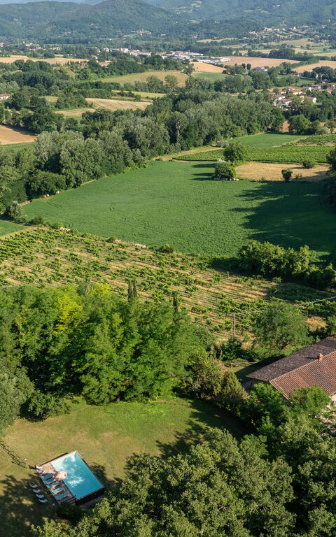 Casale Giotto: Visninger