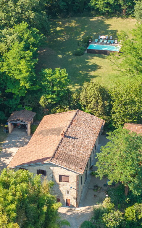 Casale Giotto: Visninger