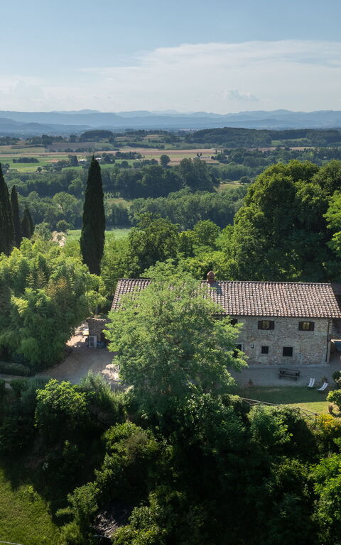 Casale Giotto: Visninger
