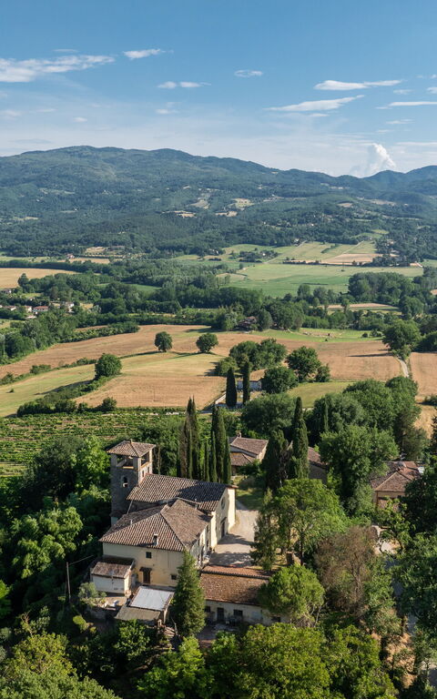 Casale Giotto: Visninger