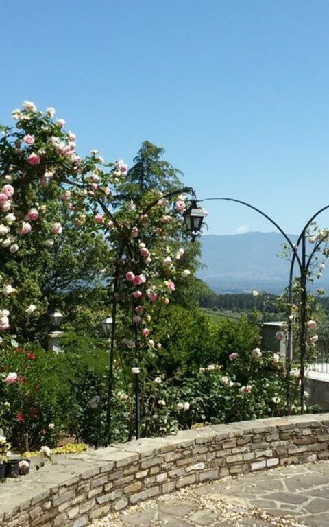 Villa Gaville: Visninger