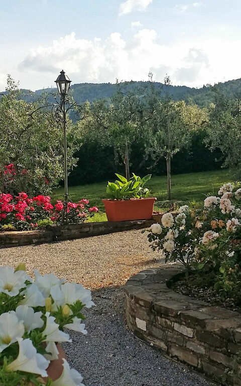 Villa Gaville: Udendørs