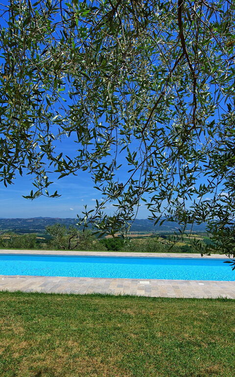 Casa Olivia: pool