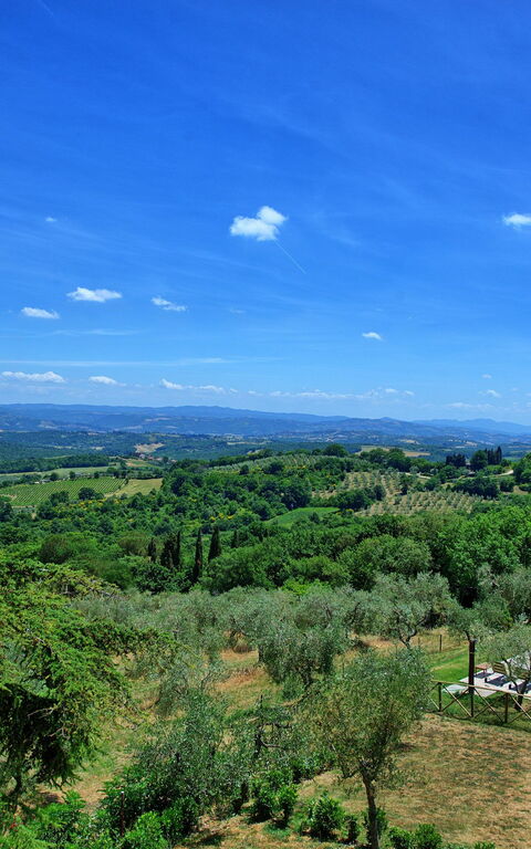 Casa Olivia: Visninger