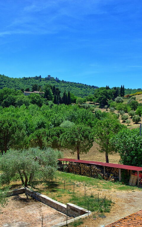 Casa Olivia: Visninger