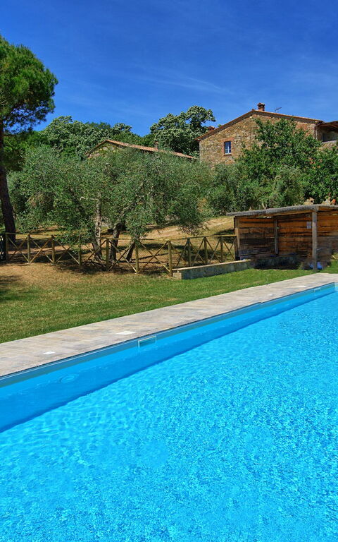 Casa Olivia: pool