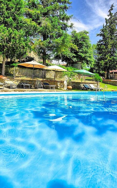 Villa Luciano: pool