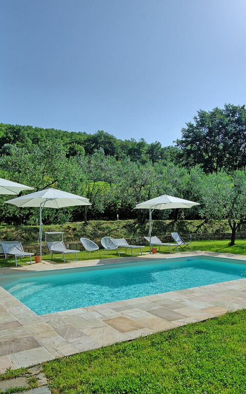 Villa Morandi: Have, pool
