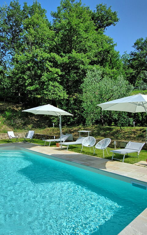 Villa Morandi: pool