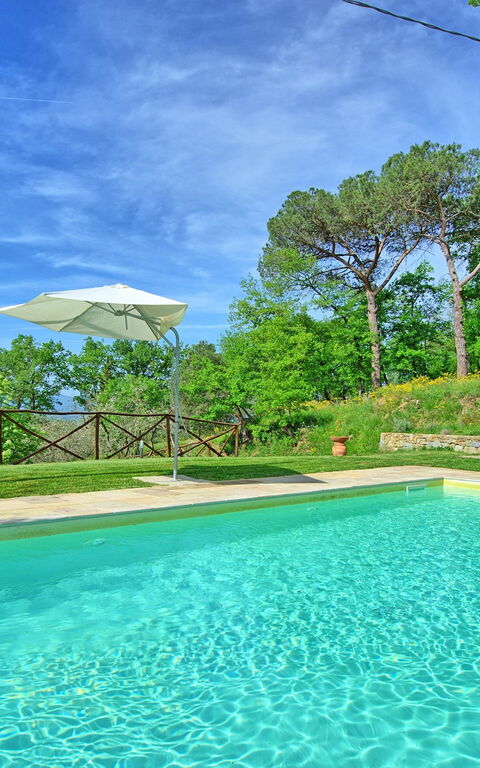 Villa Morandi: pool