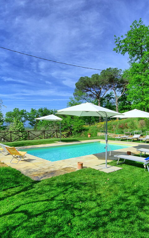 Villa Morandi: pool