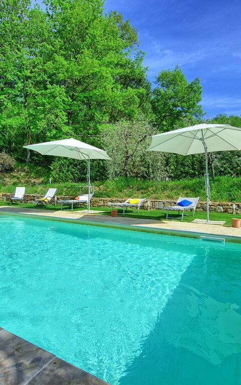 Villa Morandi: pool