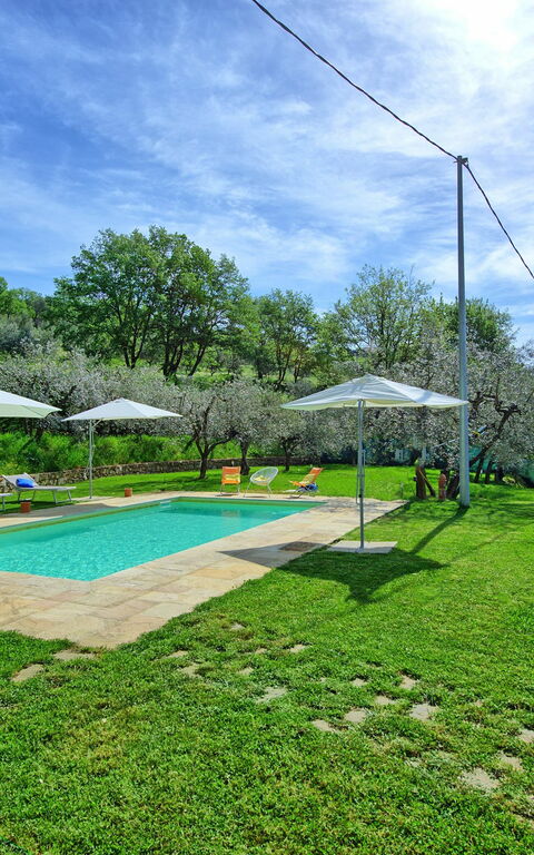 Villa Morandi: pool
