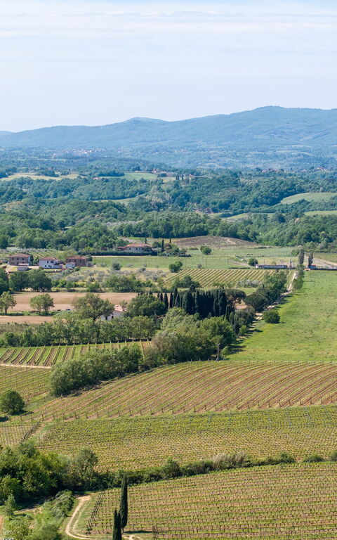 Villa Morandi: Udendørs, Visninger