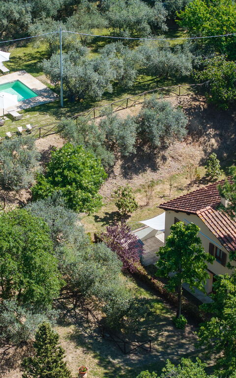Villa Morandi: Udendørs, Visninger