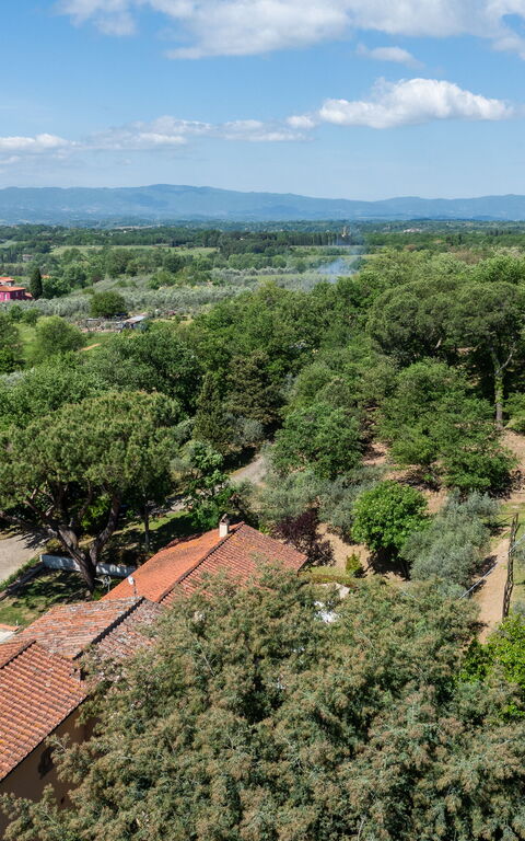 Villa Morandi: Udendørs, Visninger