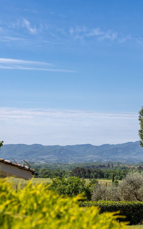 Villa Morandi: Udendørs, Visninger