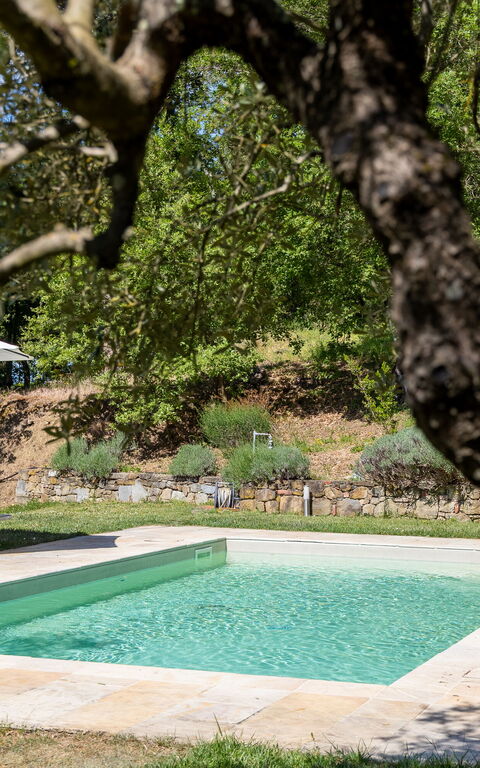 Villa Morandi: Have, pool, Udendørs, Visninger