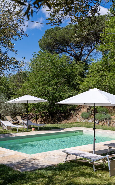 Villa Morandi: Have, pool, Udendørs