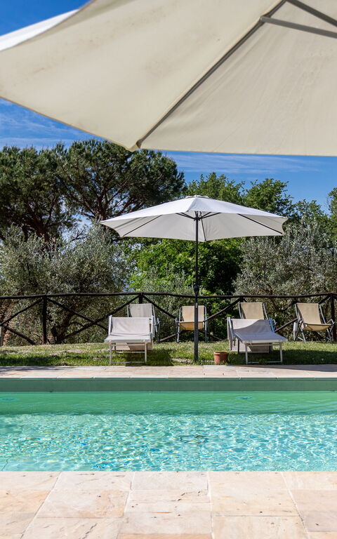 Villa Morandi: pool, Udendørs