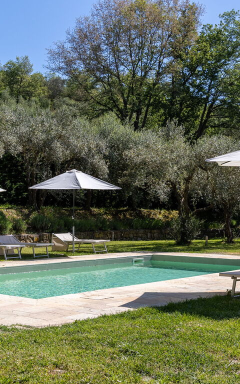 Villa Morandi: Have, pool, Udendørs