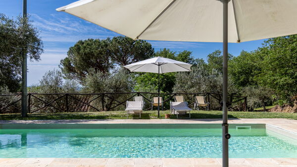 Villa Morandi: pool, Udendørs