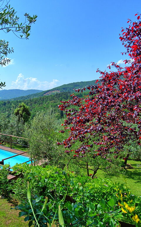 La Ruota: pool, Udendørs, Visninger