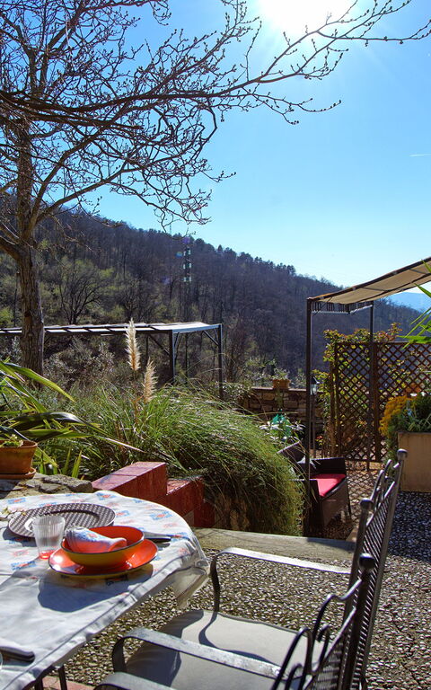 Villa Tenuta Lonciano: Have, Udendørs