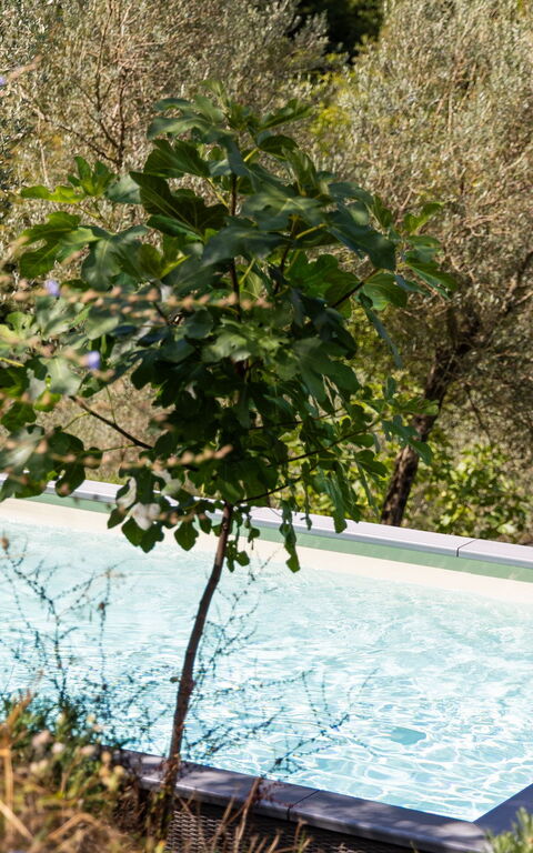 Villa Tenuta Lonciano: Have, pool, Udendørs