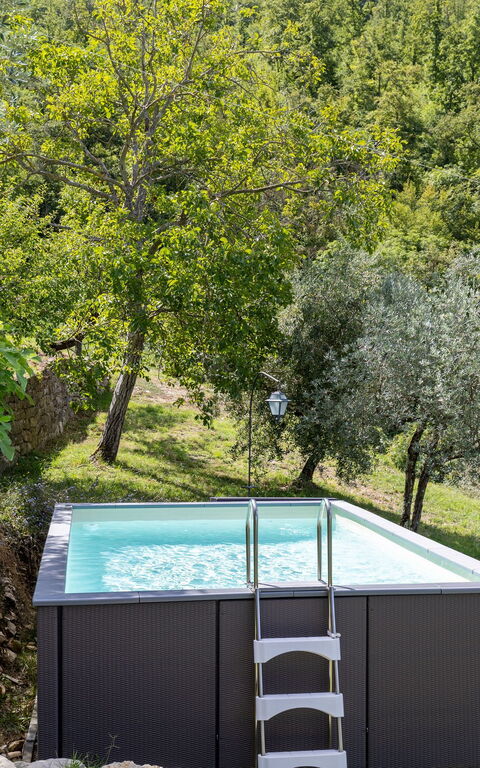 Villa Tenuta Lonciano: Have, pool, Udendørs