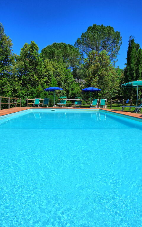 Villa Picchio: pool, Udendørs