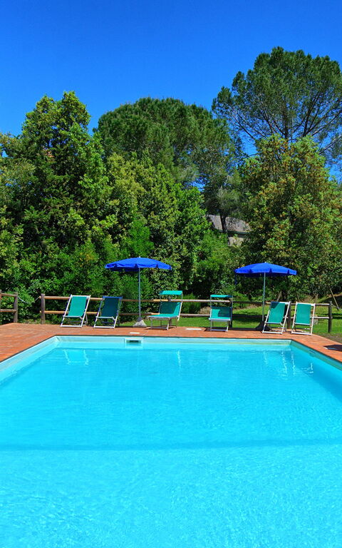 Villa Picchio: pool, Udendørs