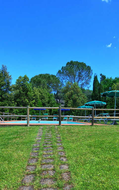 Villa Picchio: Have, Udendørs