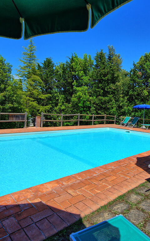 Villa Picchio: pool, Udendørs