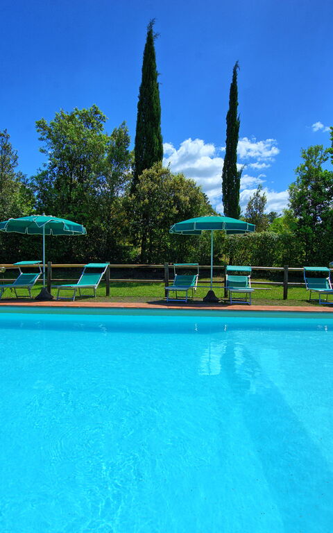 Villa Picchio: pool, Udendørs