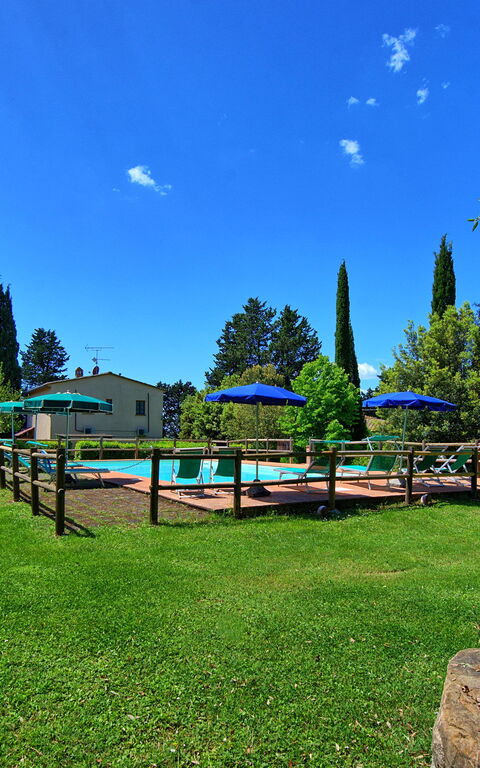 Villa Picchio: Have, pool, Udendørs