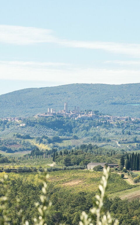 Villa Treppiè: Visninger