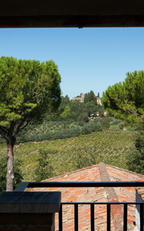 Villa Treppiè: Have