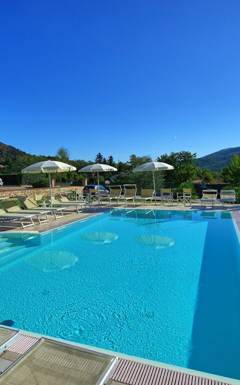 Flavia: Have, pool, Udendørs