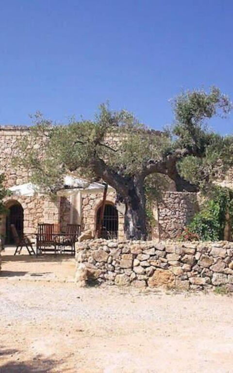 Tia Trullo: Have, Udendørs