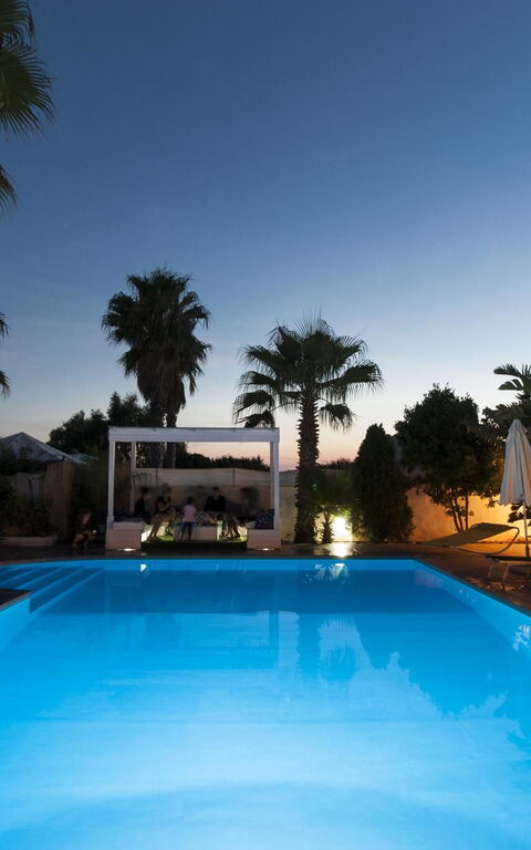 Cotriero: Have, pool