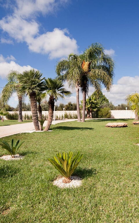 Meadow Luxury Villa: Have, Udendørs