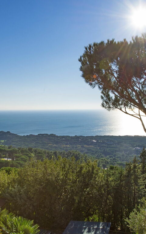 Vista Mare: Visninger