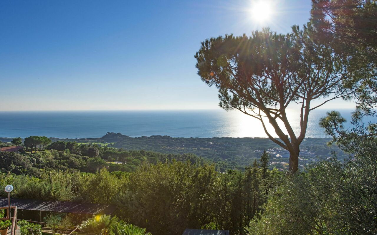 Vista Mare: Visninger