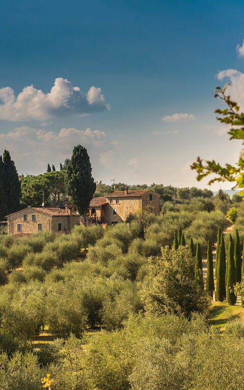 Villa Poggiospinoso: Visninger
